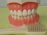 Cabinet Orto Smile Cluj