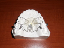 Ortodontie