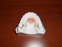 Ortodontie